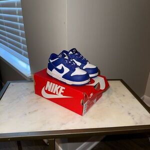 Nike Dunks Toddler